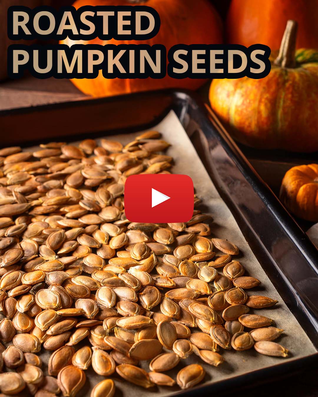 roasted pumpkin seeds at pftaschools